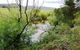 Eco - Relax And Unwind - Greenwich Park - thumb 3