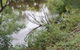 Eco - Relax And Unwind - Greenwich Park - thumb 4
