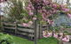 Elm Cottage Barn - thumb 2