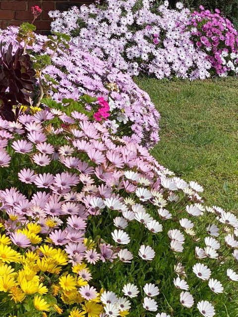 ENTIRE HOME IN WERRIBEE,BEST POSSIBLE LOCATION YOU CAN FIND - Accommodation Guide 0