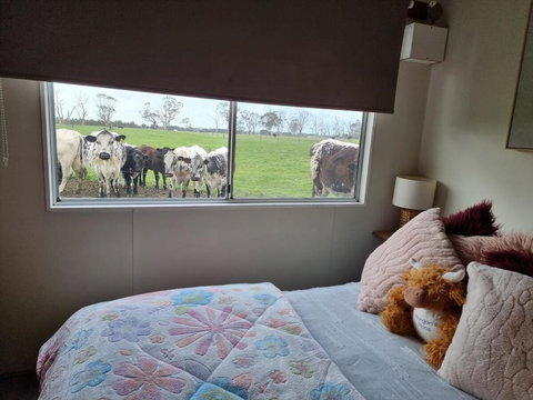 Farmstay - Accommodation Asia 1