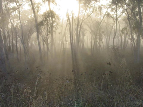 Fergies Hill Spa Cottage @ Granite Ridge Wines - Accommodation Asia 1