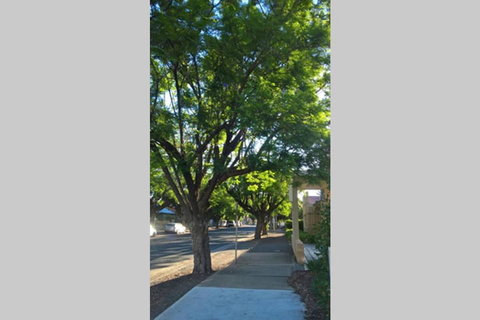 Gawler Heritage Accommodation - Accommodation China 1