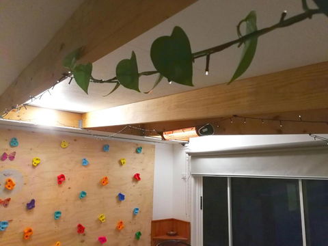 Fun Family House King Island - Accommodation Asia 4
