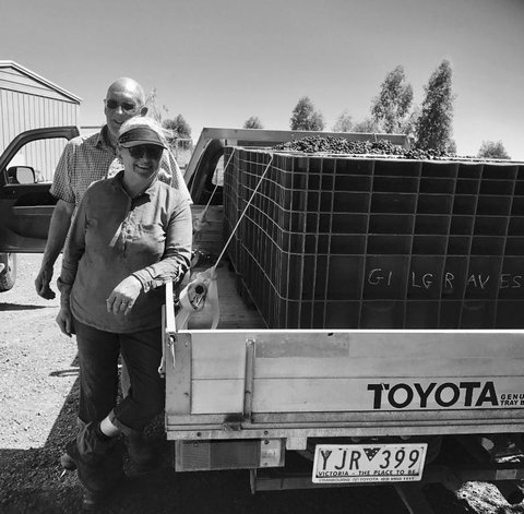 Gilgraves Vineyard Farmstay - Accommodation Asia 4