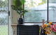 Great Value Stylish 2BR Granny Flat Heritage Park - thumb 3