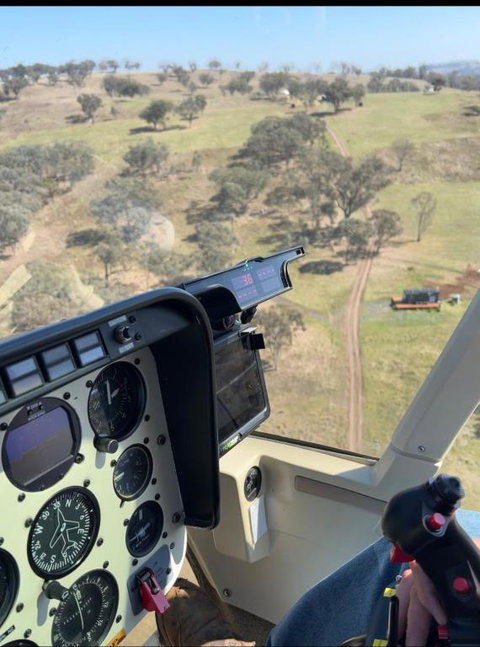 Grouse Tiny - Accommodation Asia 0