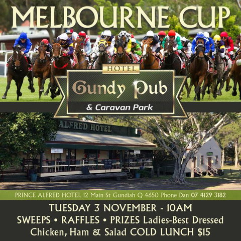Gundy Pub & Caravan Park - Accommodation Guide 0