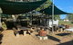 Gundy Pub & Caravan Park - thumb 4