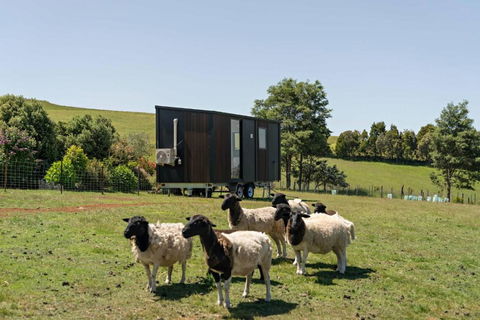 Hillside Hideout By Tiny Away - Accommodation Asia 2