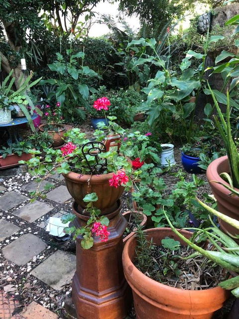 Historic Secluded Garden Cottage - Accommodation Asia 2
