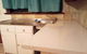 Homestay Upon Kenwick Station - thumb 2