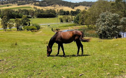 Honeycomb Hill Of Yarra Valley - Accommodation Asia 3
