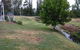 All Seasons Holiday Homes - thumb 1