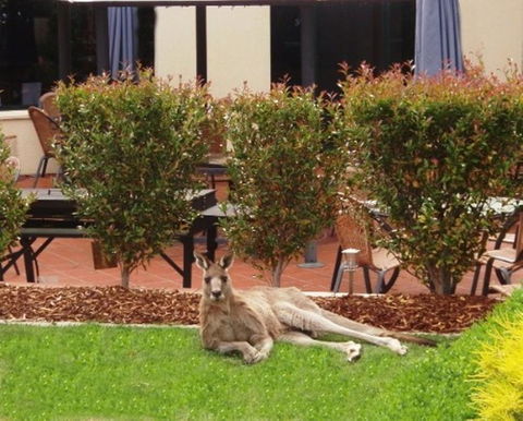 Alpha Hotel Canberra - Accommodation Asia 1