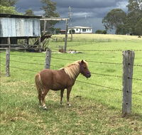 AMs Farm Stay - Accommodation Asia