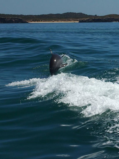 Anchorage Guest House And Self-contained Accommodation - Accommodation China 1