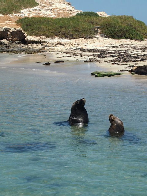 Anchorage Guest House And Self-contained Accommodation - Accommodation China 3