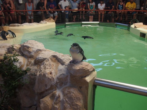 Anchorage Guest House And Self-contained Accommodation - Accommodation China 2