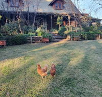 Angaston by the Winter Creek - Accommodation Asia