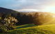 Arjuna Ridge Bed And Breakfast - thumb 3