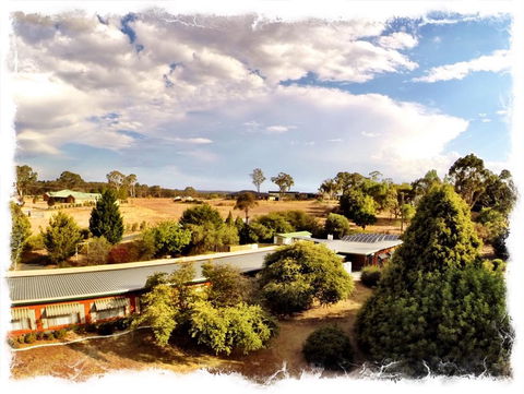 Armidale Rose Villa Motel - Accommodation Asia 1