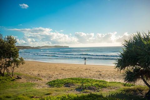 ArtHOUSE Beachfront Accommodation - Accommodation Guide 1