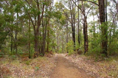 Ashleigh - Accommodation Guide 2