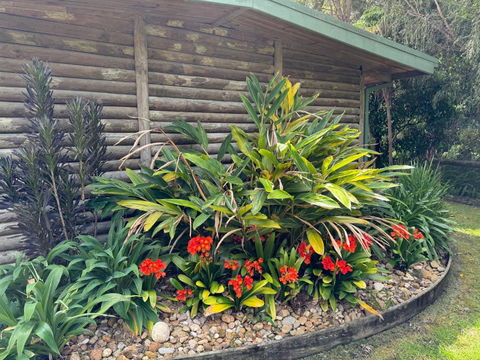 Mallacoota Log Cabins - Accommodation Asia 2