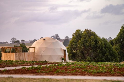 Mount Gnomon Farm - Accommodation Asia 0