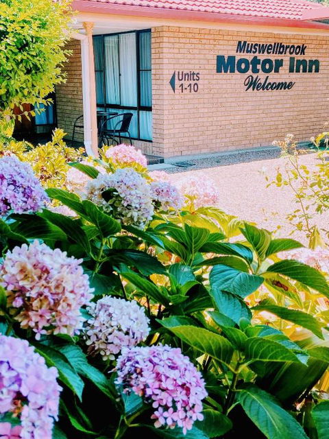 Muswellbrook Motor Inn - Accommodation Asia 0