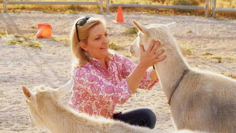 Olive Grove Retreat 1 By Tiny Away - Accommodation Asia 1