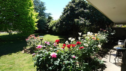 Opal Motel - Accommodation Asia 2