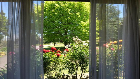 Opal Motel - Accommodation Asia 1