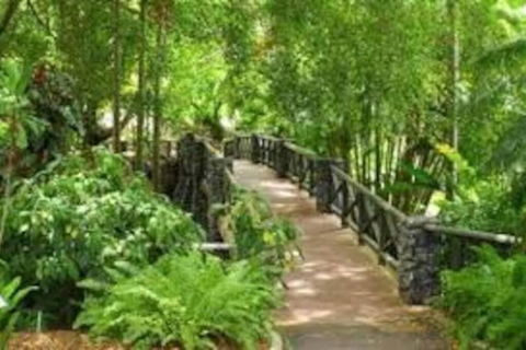 Paddington Pad With Back Deck And Free Car Space Close To Suncorp - Accommodation Asia 2