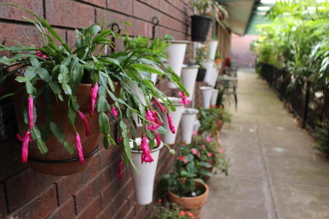 Pavlos Motel - Accommodation Asia 3