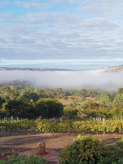 Pecan Hill BNB - Accommodation Asia 0