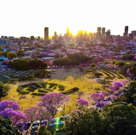 Perfect Haven In Spring Hill 2B1B And Parking - Accommodation Asia 2