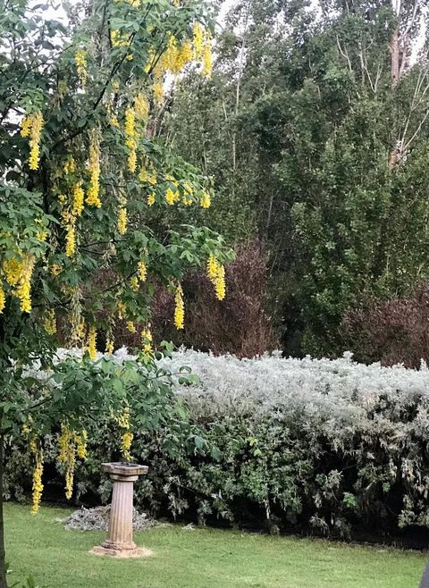 Pierrepoint Accommodation - Accommodation Asia 1