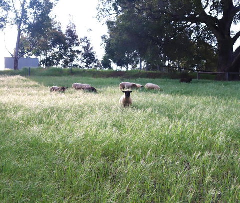 Preston Valley Shed Stay - Accommodation Asia 2