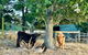 Private, Secluded Farm Retreat - thumb 3