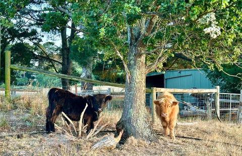 Private, Secluded Farm Retreat - Accommodation Asia 3