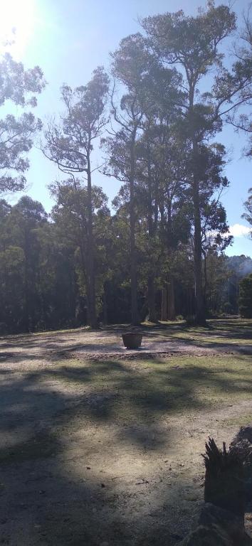 Rail Trail Retreat - Accommodation Asia 2