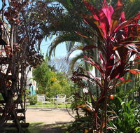 Asylum Cairns Hostel - Accommodation Guide