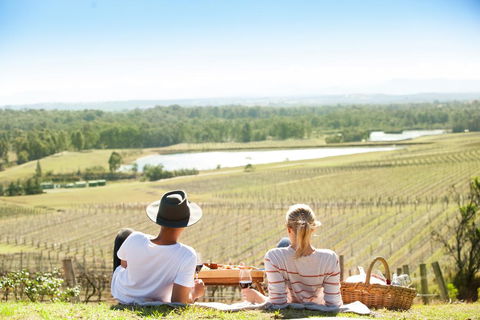 Audrey Wilkinson Vineyard - Accommodation Asia 0