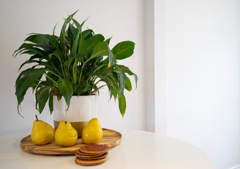 Azure Beach Retreat - Spa Luxury - Accommodation China 2