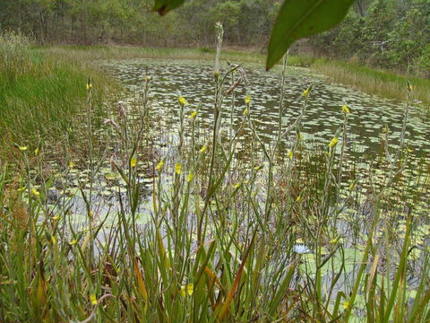 Back To The Bush - Accommodation Guide 3