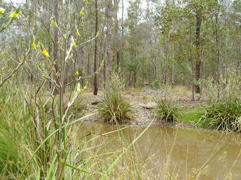 Back To The Bush - Accommodation Guide 2