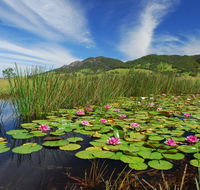 Barrington Hideaway- River Cottages - Accommodation Asia