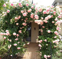 Baudins of Busselton Bed and Breakfast - Accommodation Asia